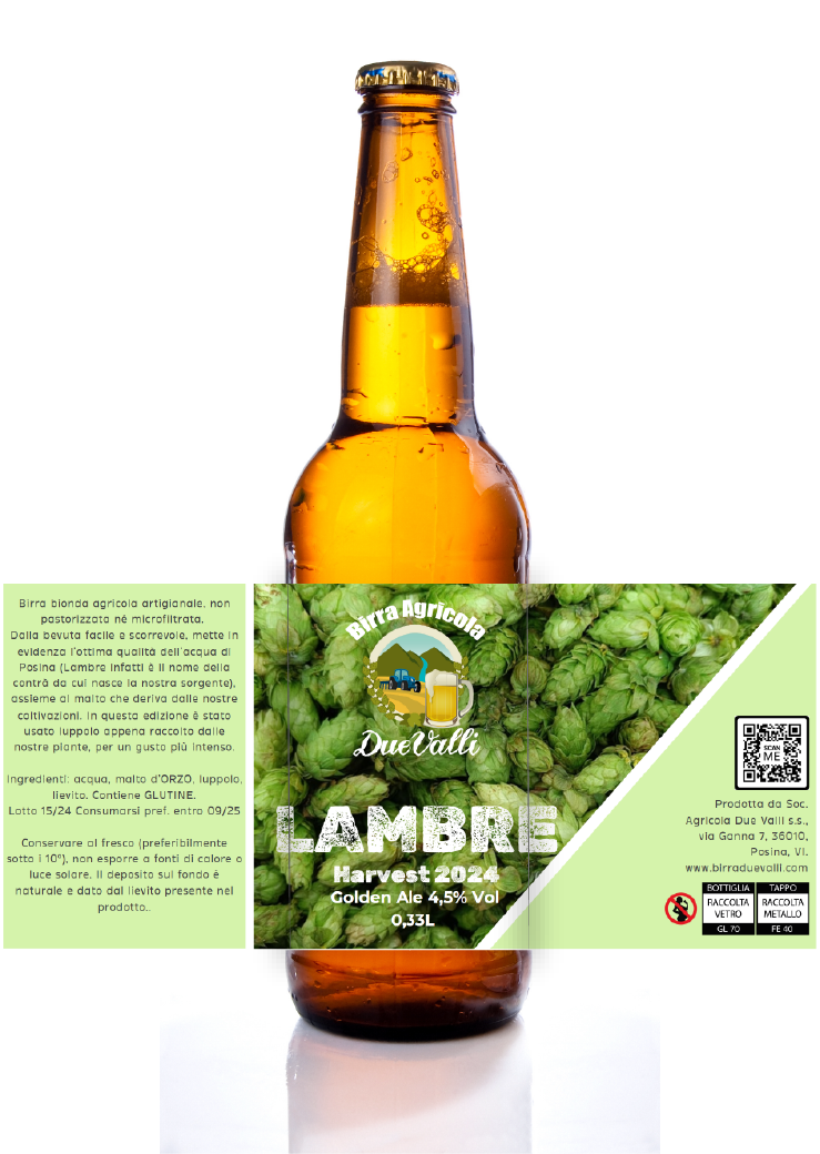 lambre harvest fresh hops 